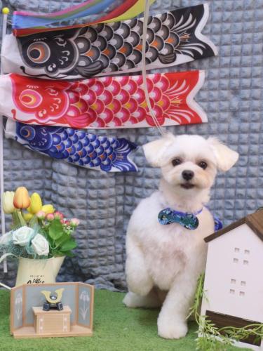 20230517うるちゃん